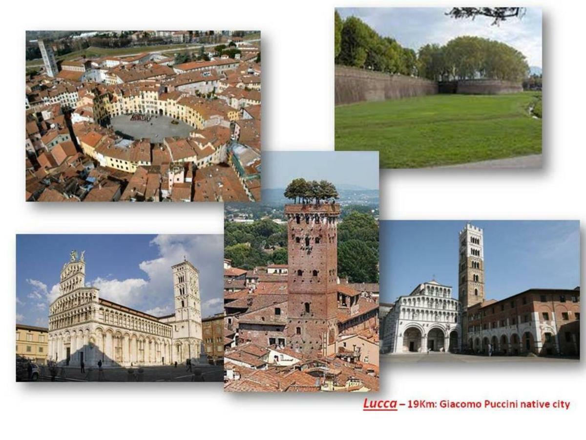 Altido Apt For 8 With Huge Terrace In Old Town Of Viareggio Esterno foto