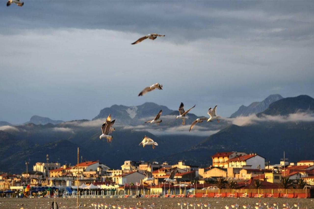 Altido Apt For 8 With Huge Terrace In Old Town Of Viareggio Esterno foto